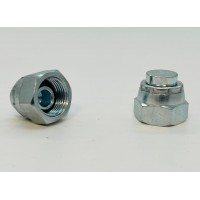 Cap 3/8" BSP 